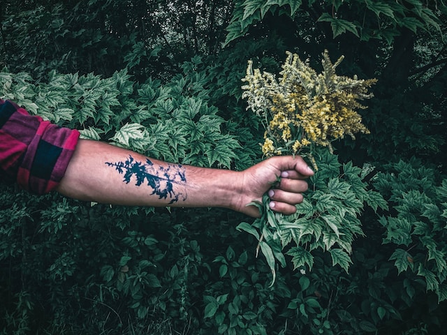 nature tree tattoo